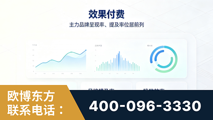 岳阳-效果付费：主力品牌呈现率、提及率位居前列