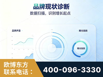 岳阳-品牌现状诊断
