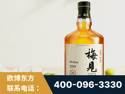 岳阳-梅见青梅酒