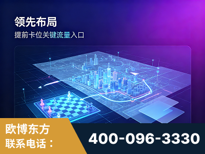 岳阳-领先布局：于2024年初开启GEO业务的公司